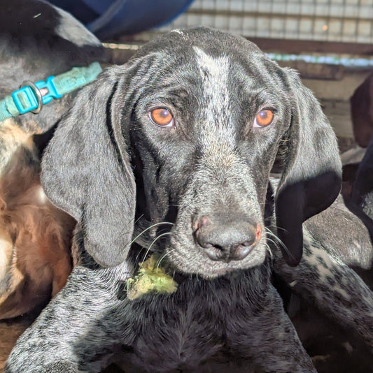 Theodoros (Федя)