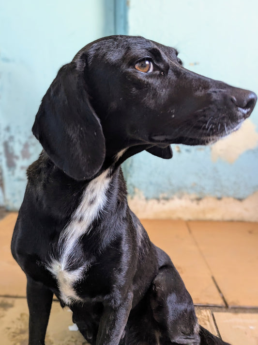 Roxana (Betsy)