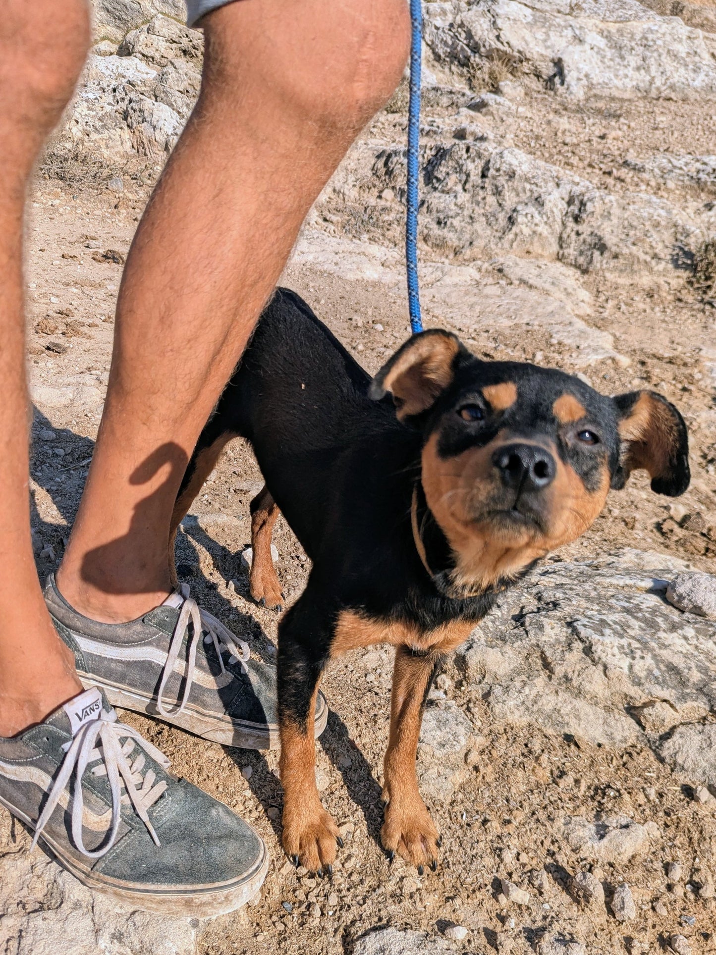 Alejandro (Nicos for Russians)