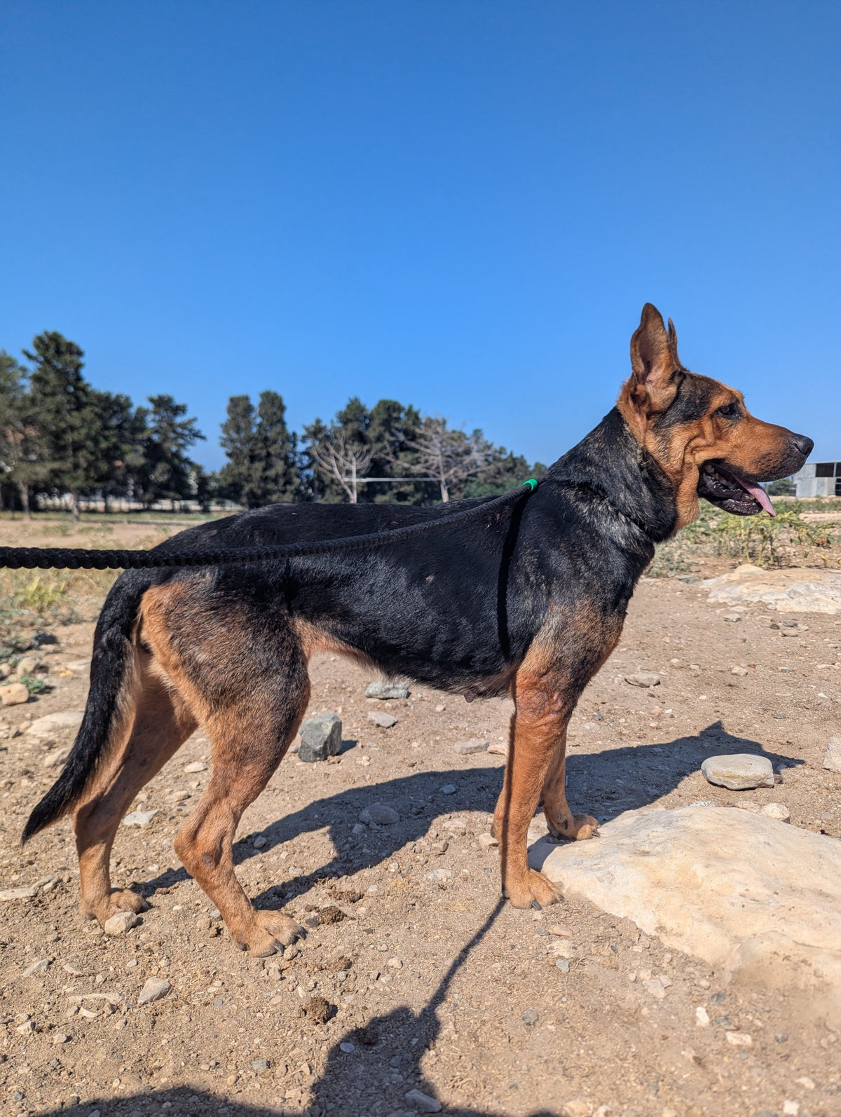 Sierra
