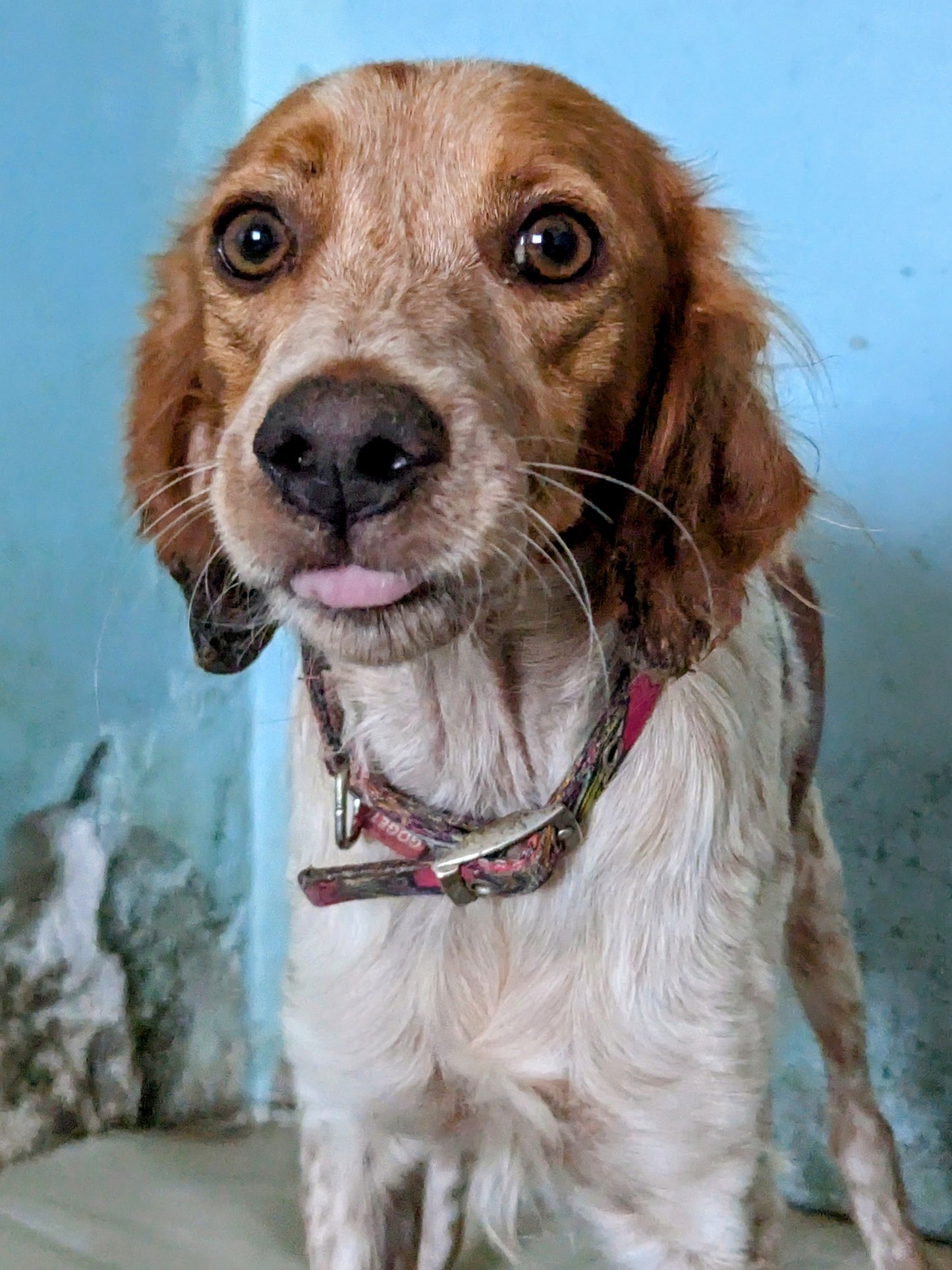 Mirinda