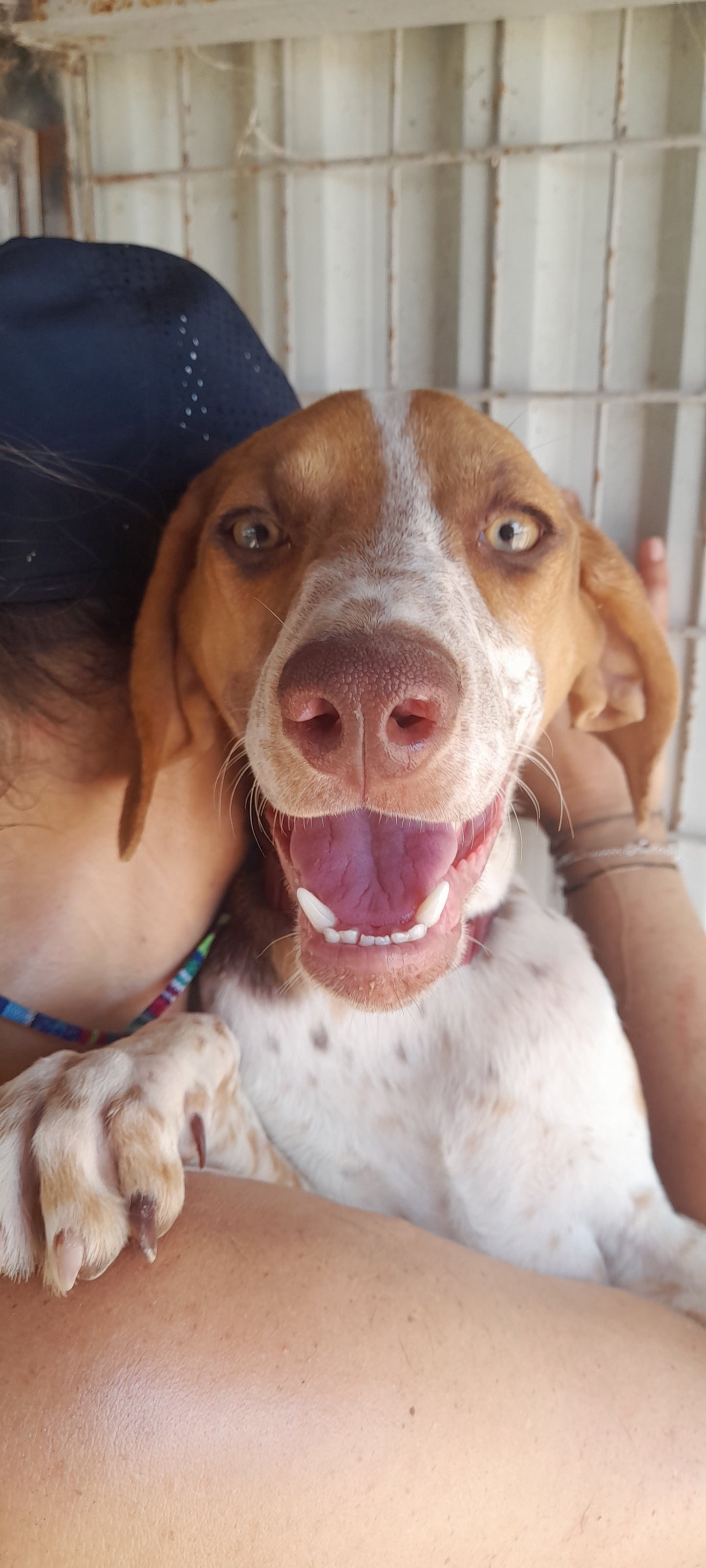 Helga (Delta)