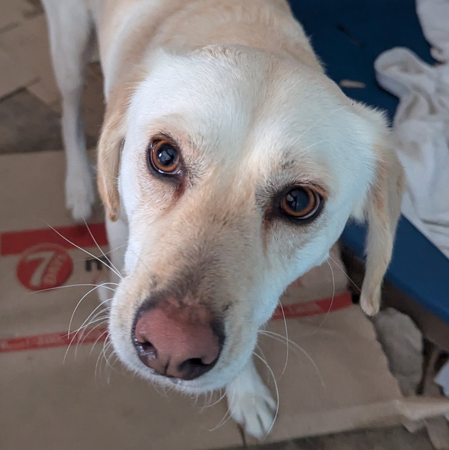 Popcorn (Max for Claire)