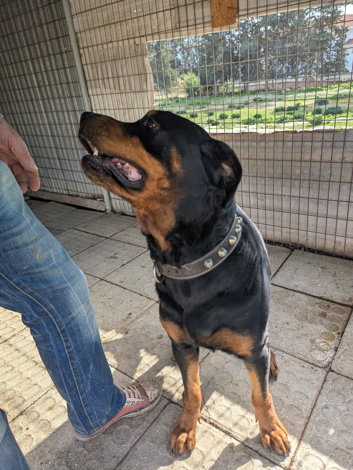 Dias