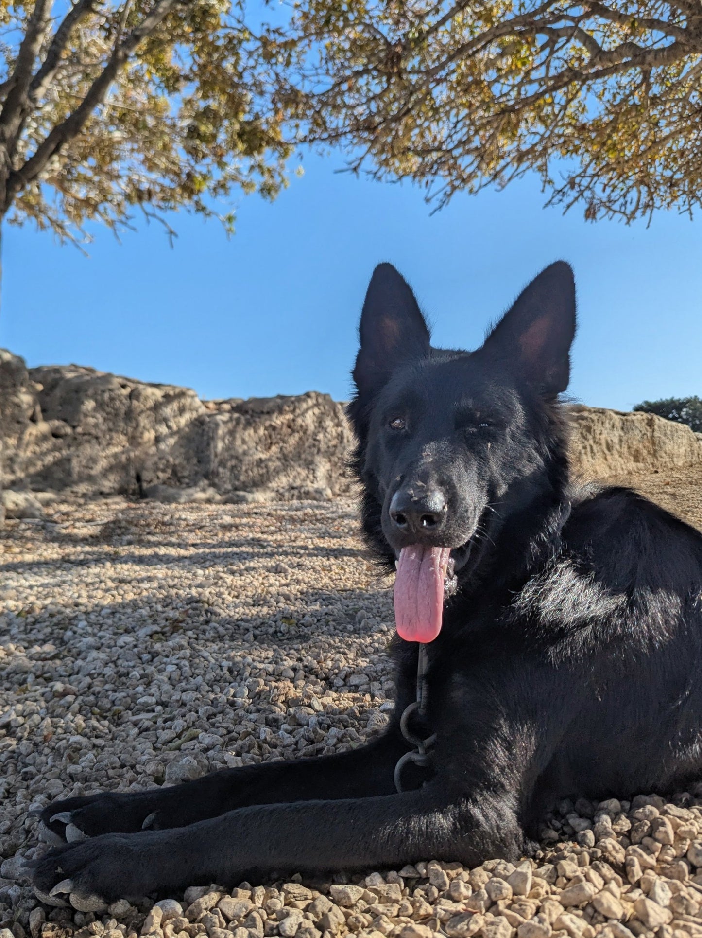 Darth Vader (Steven)