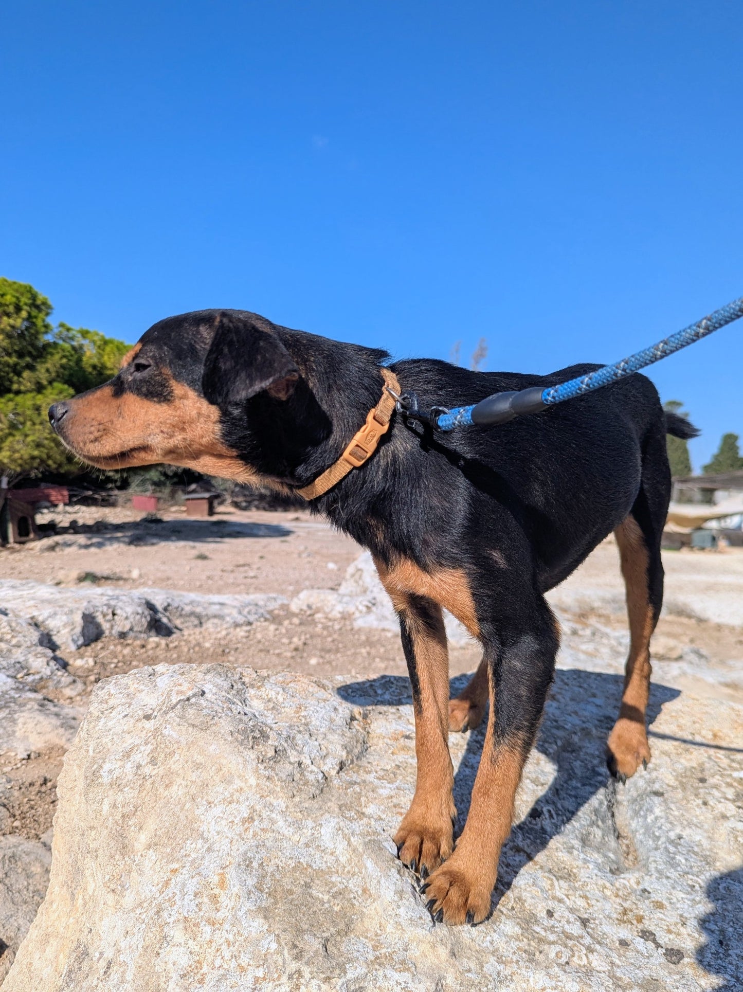 Alejandro (Nicos for Russians)