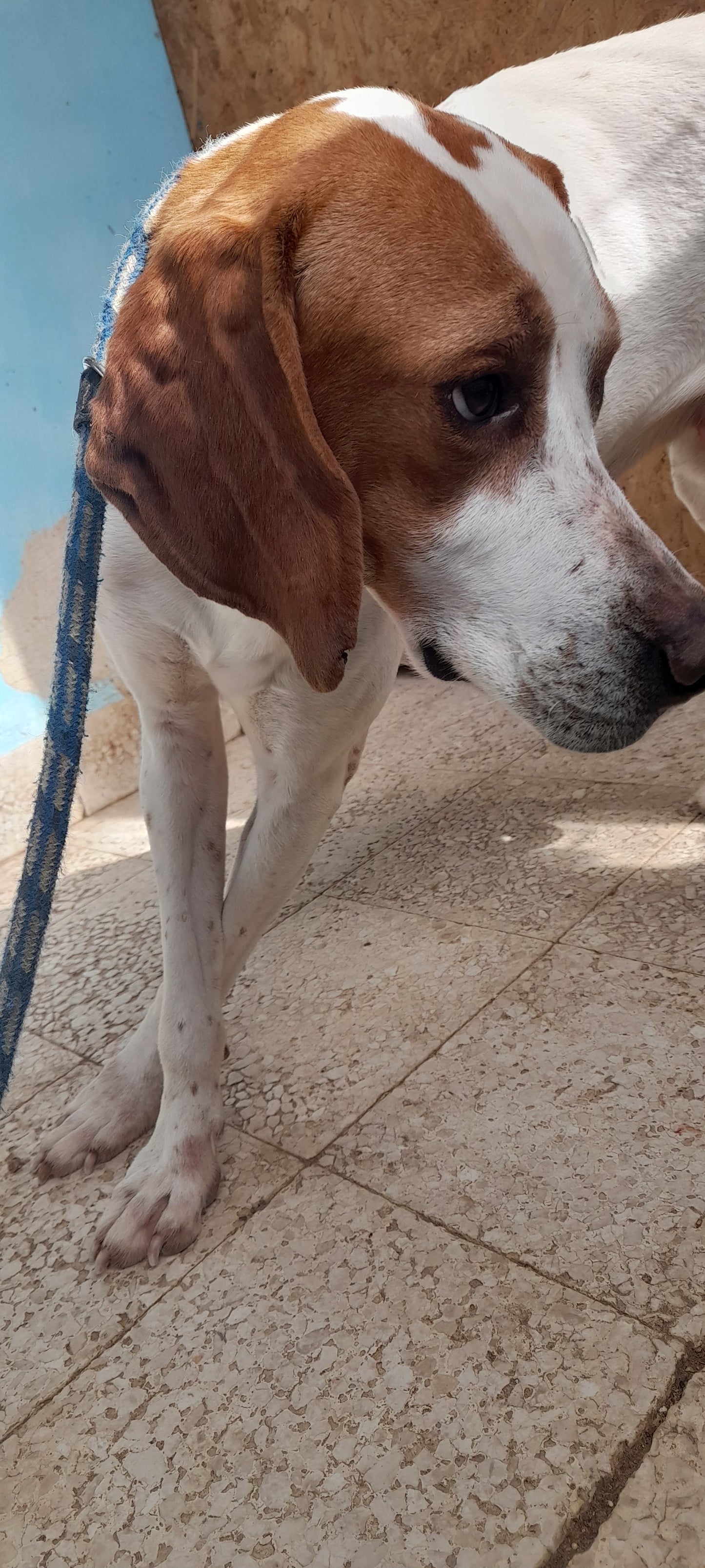 Evita