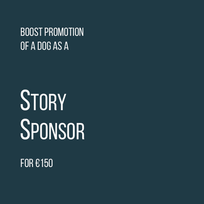 Story Sponsor