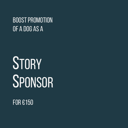 Story Sponsor