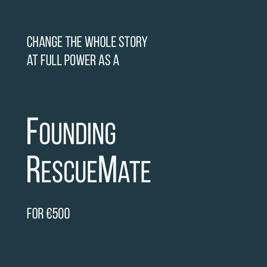 Founding RescueMate