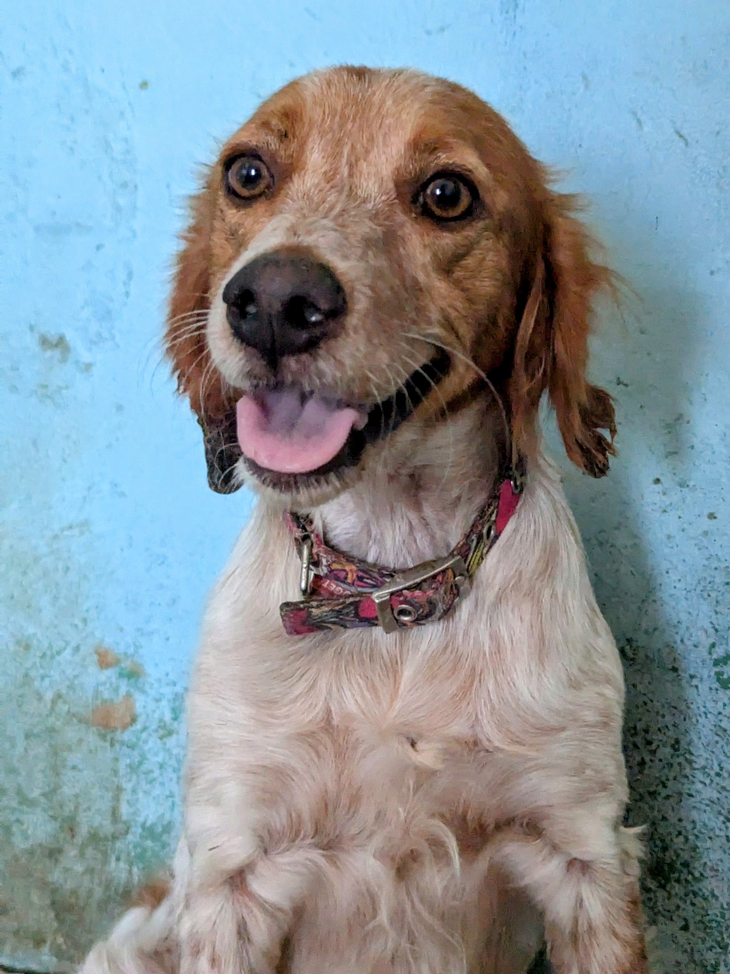 Mirinda