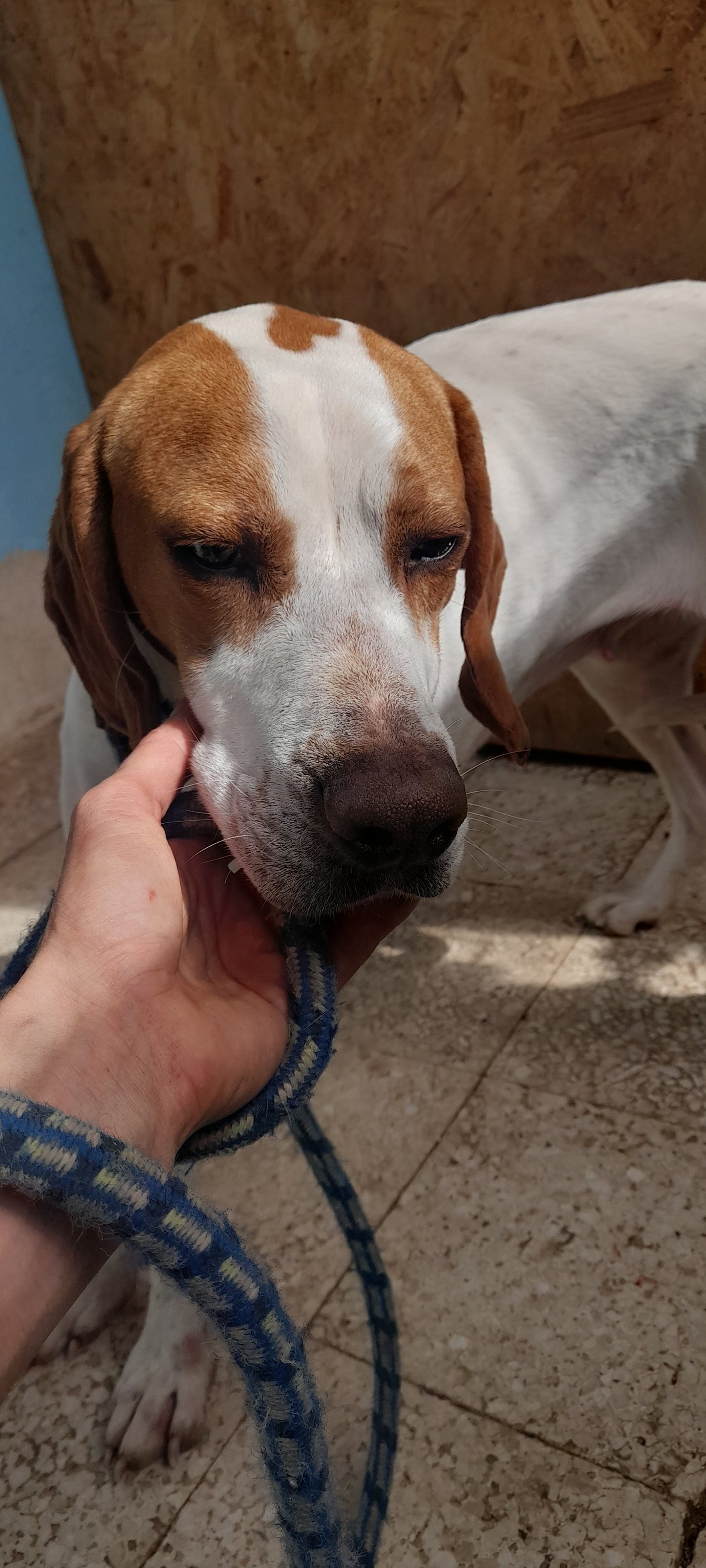 Evita