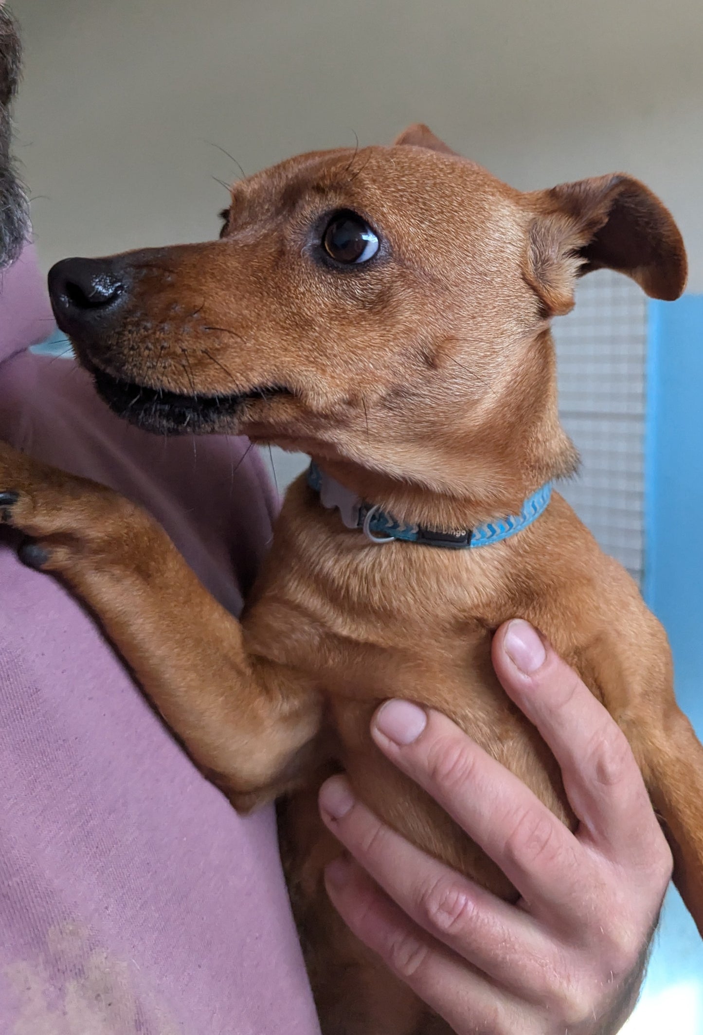 Pin (Busby for Janice)