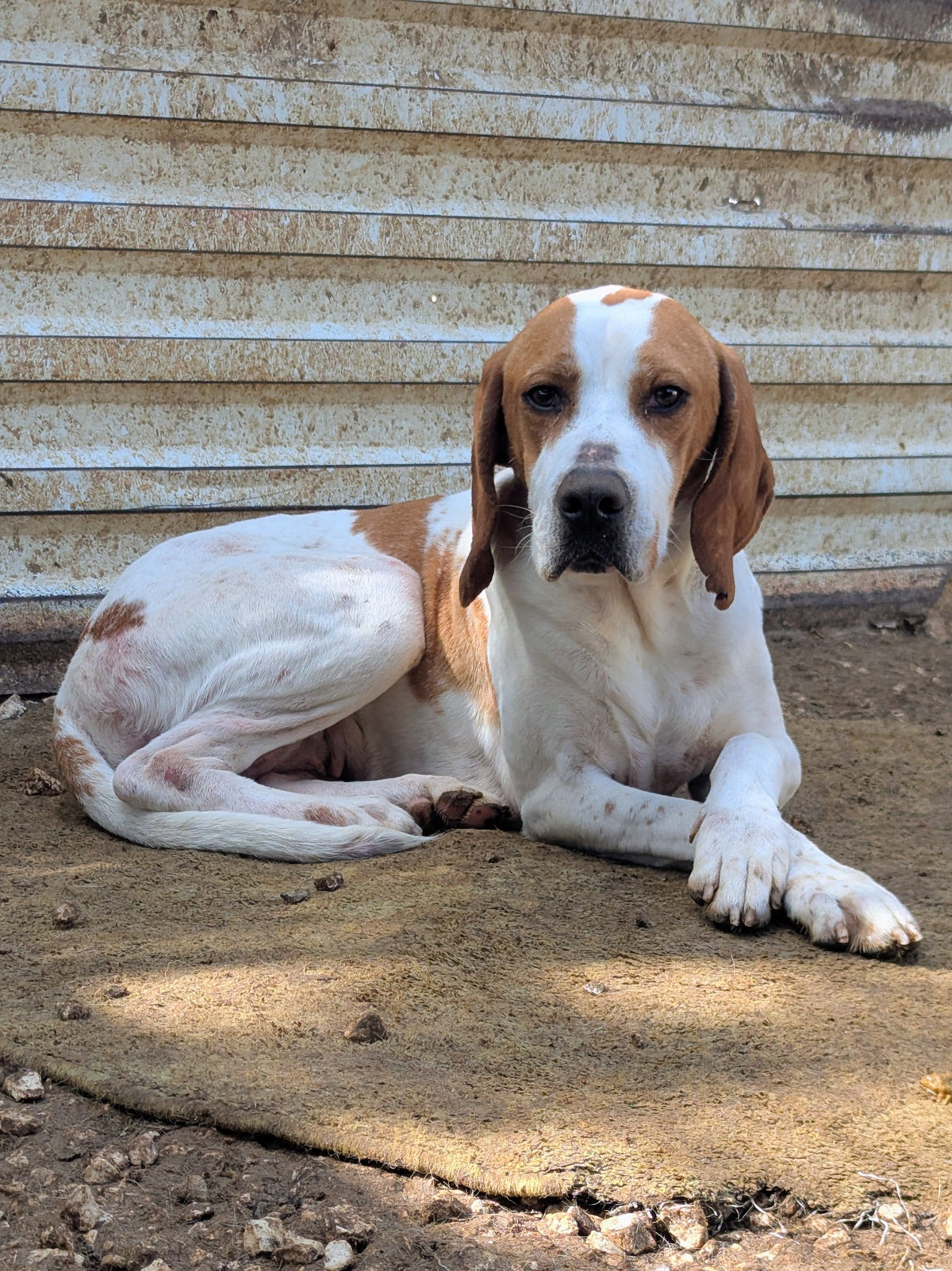Evita