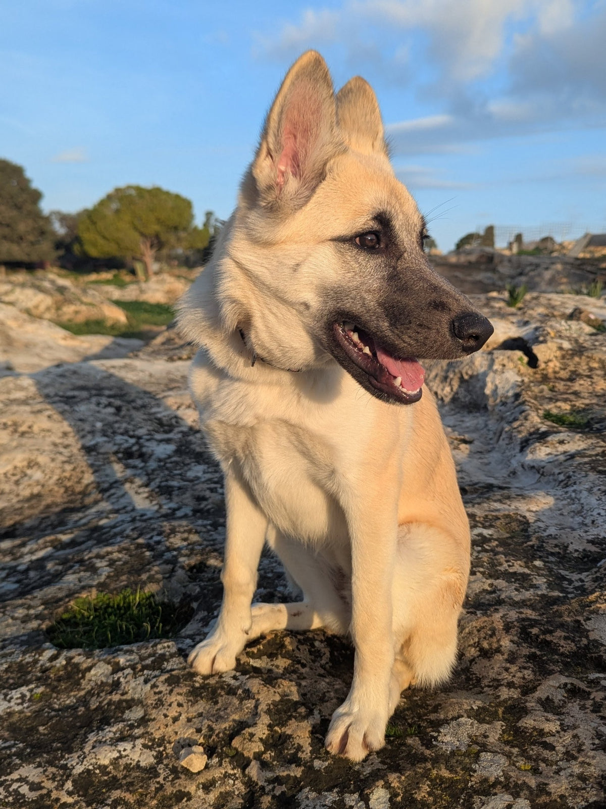 Inka