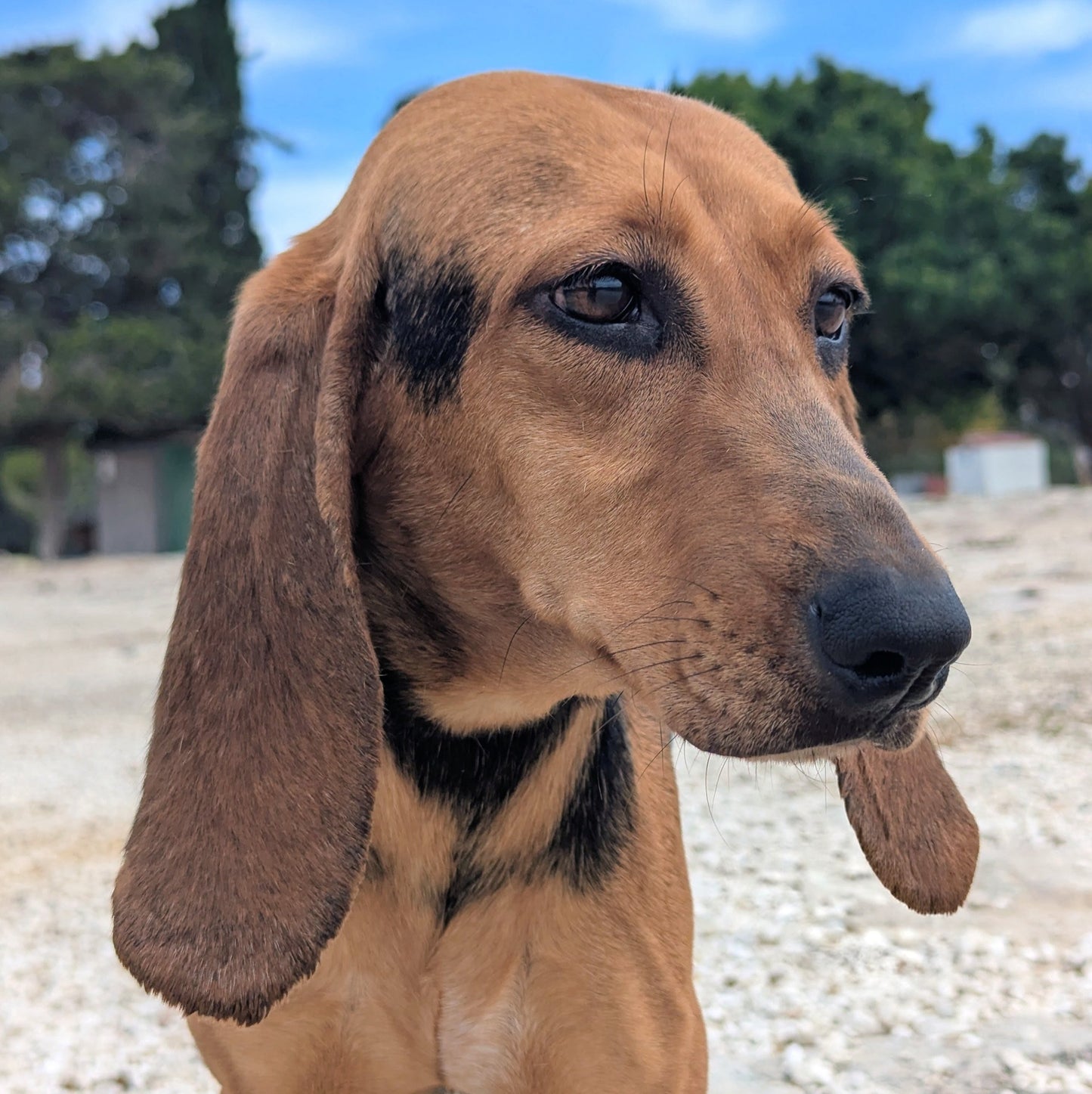Abbey