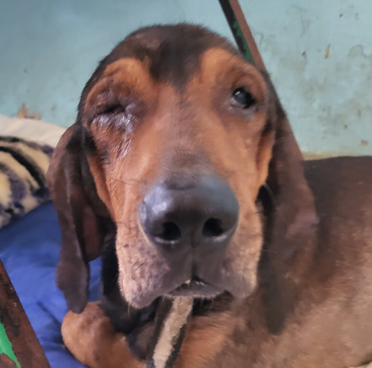 Fred (Old man Jack)