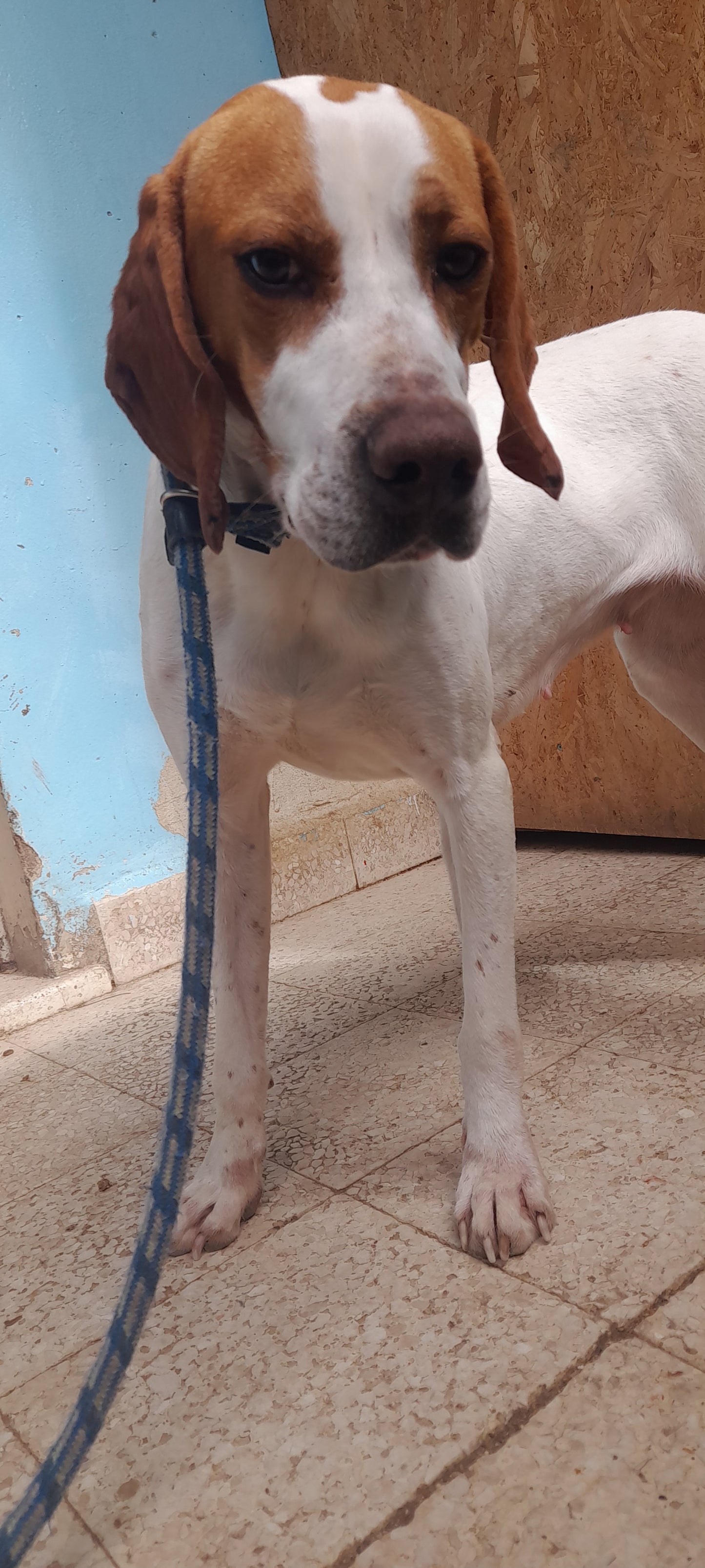 Evita