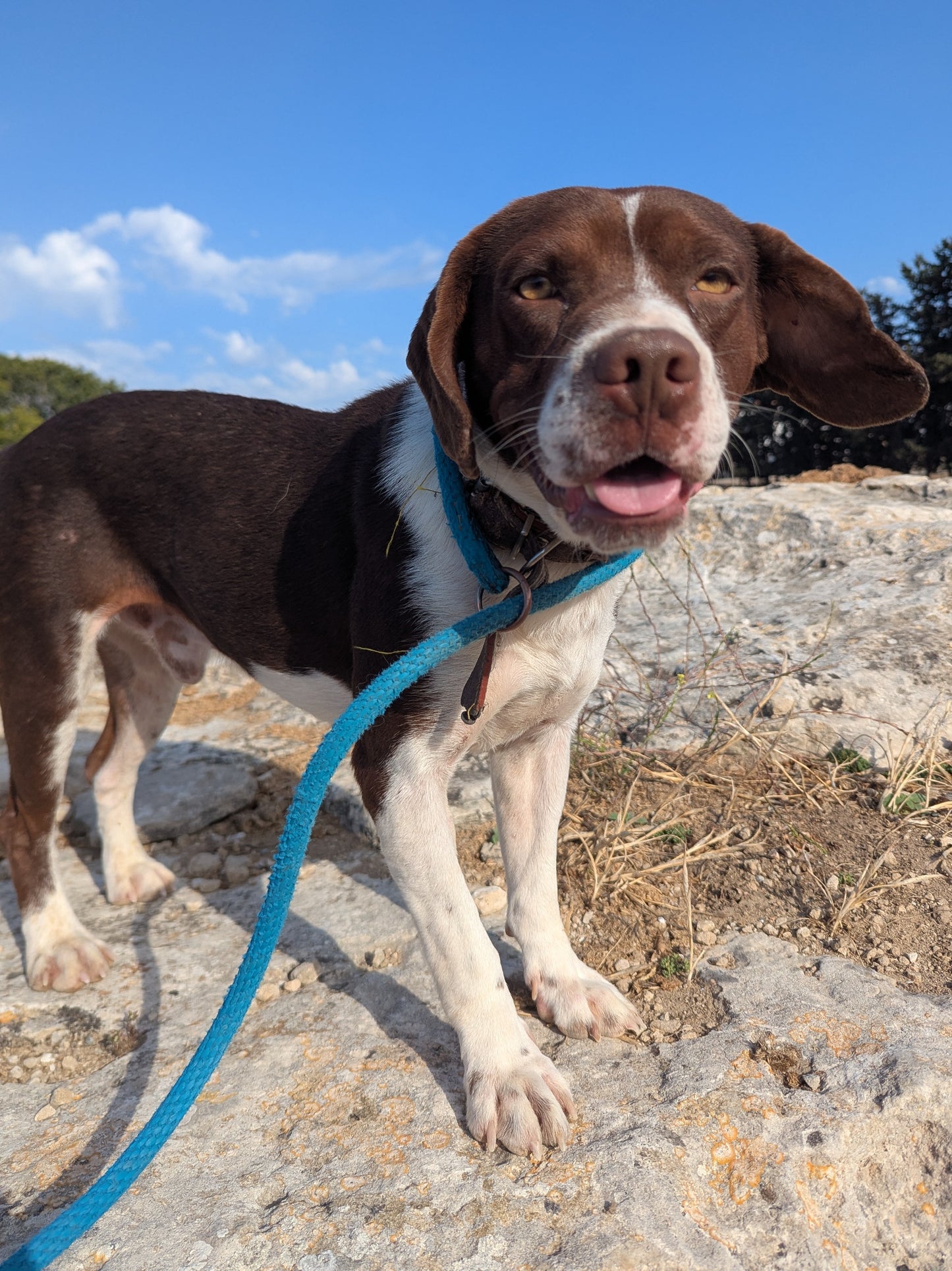 Luca