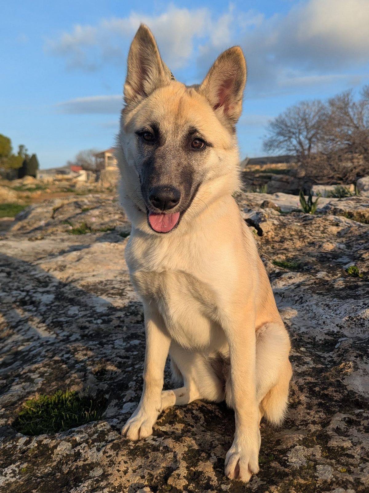 Inka