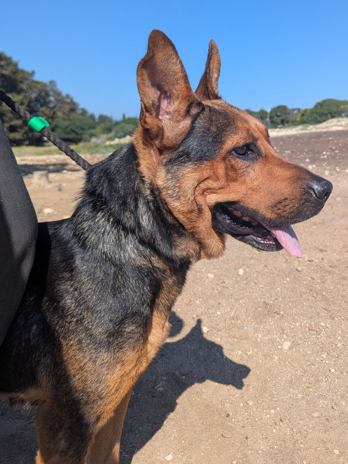 Sierra