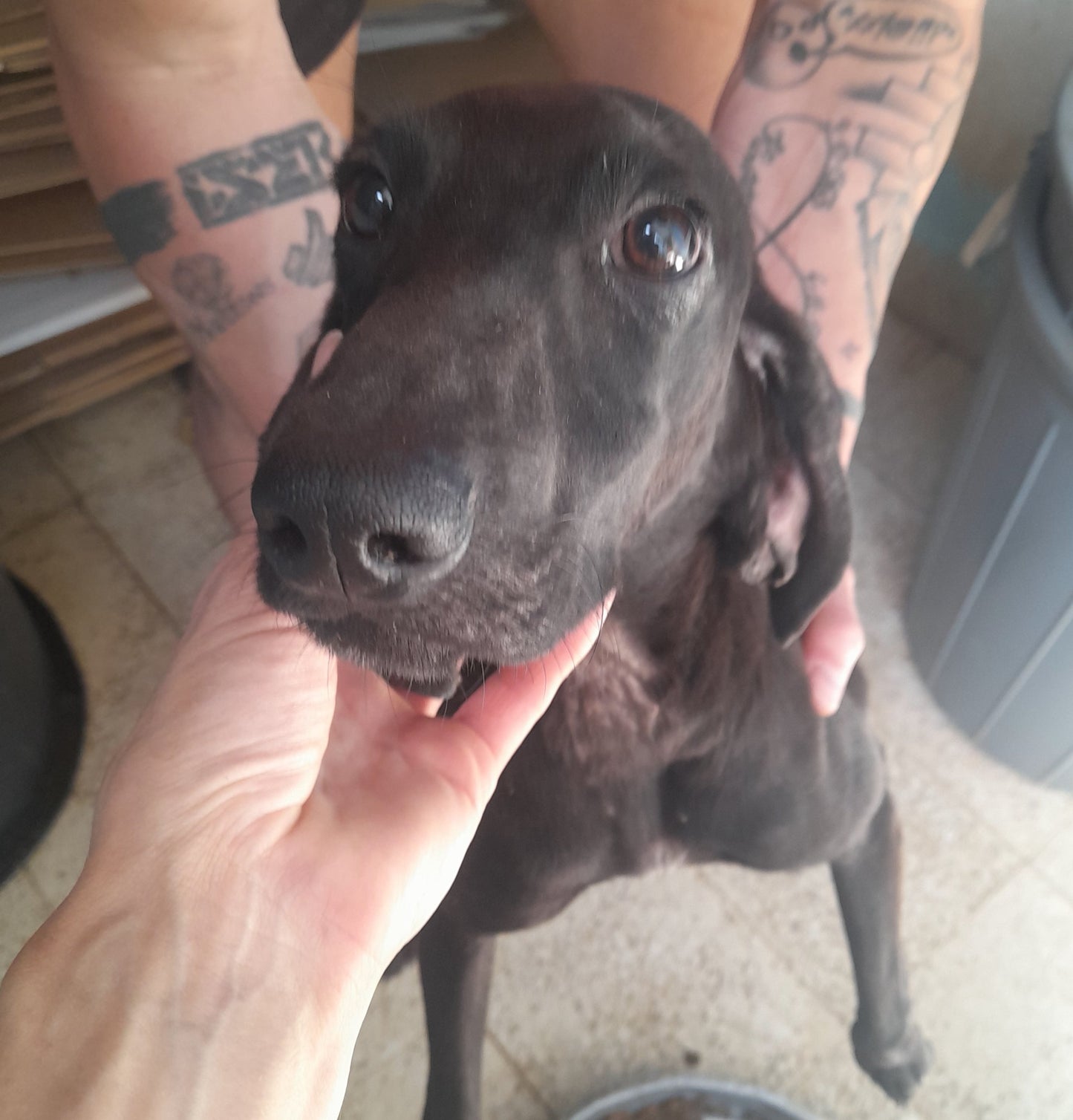 Milo