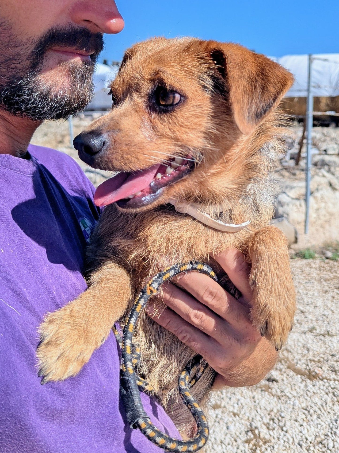 Oreo (originally Max)