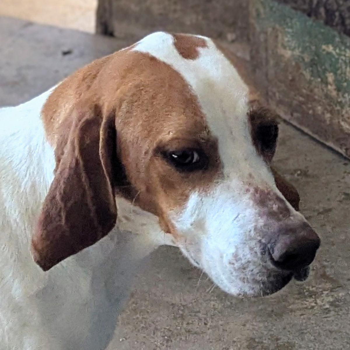 Evita