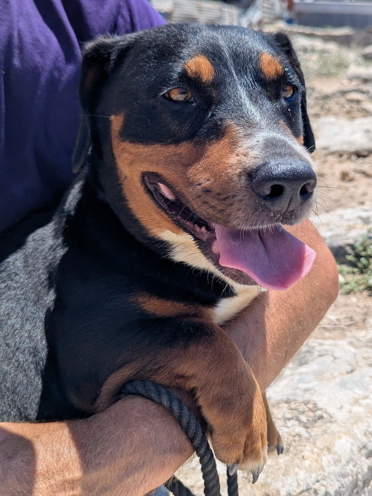 Talika