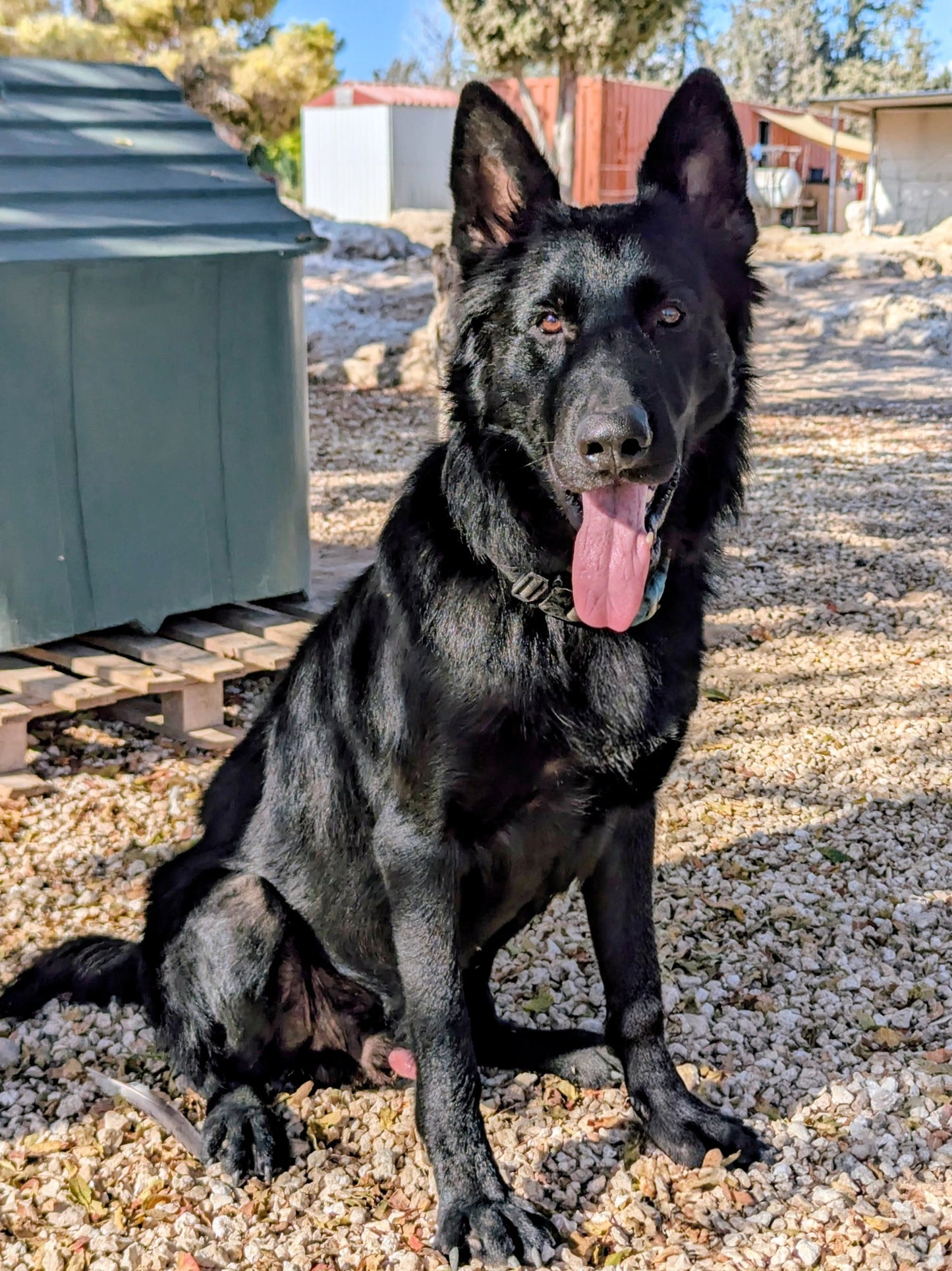 Darth Vader (Steven)